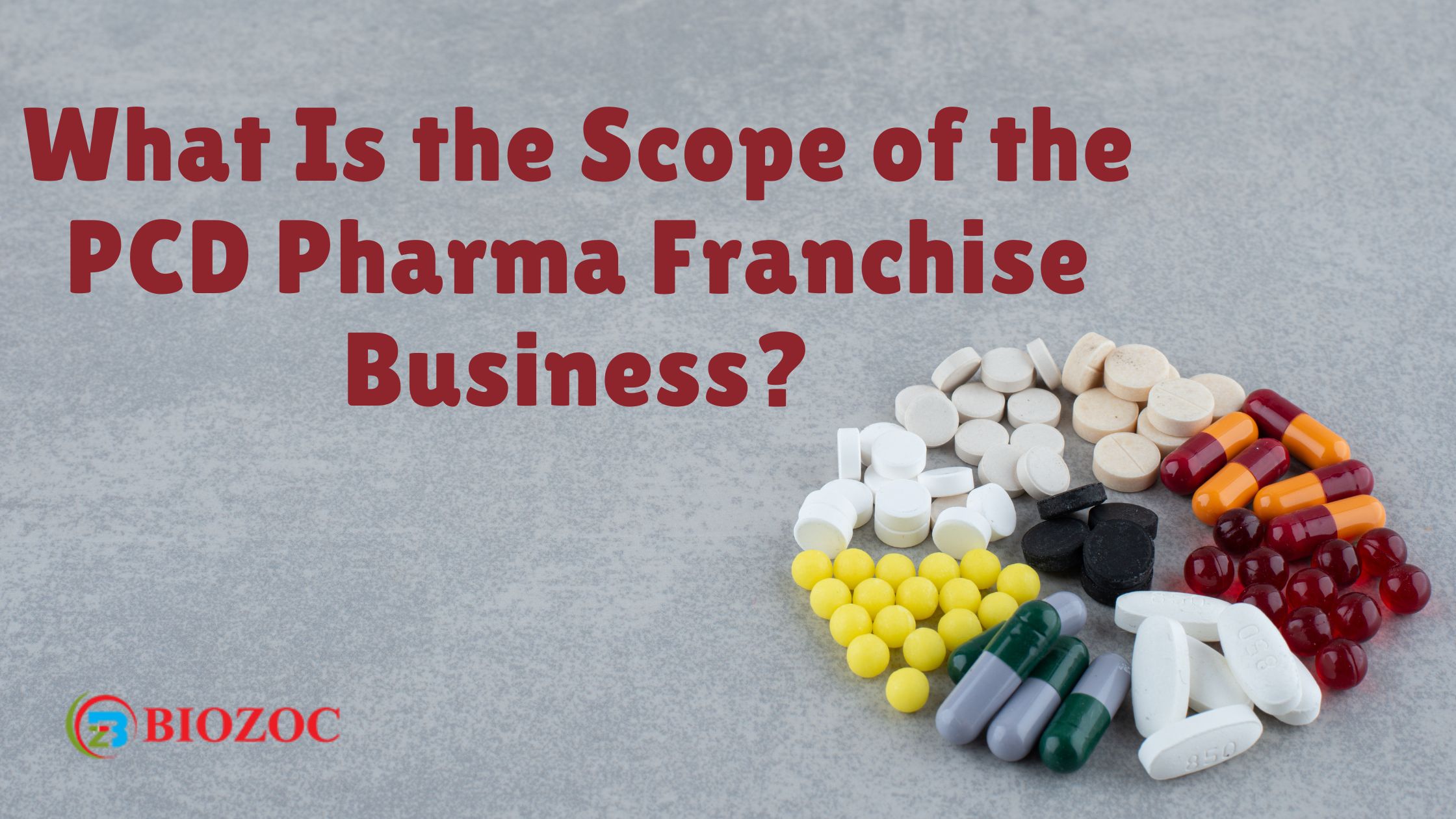 What Is the Scope of the PCD Pharma Franchise Business?