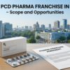 Drug PCD Pharma Franchise in Delhi - Scope and Opportunities